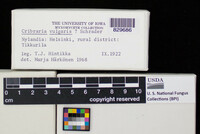 Image Associated With the Occurence